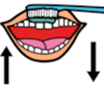 Illustration of teeth brushing with an open mouth and up / down arrows